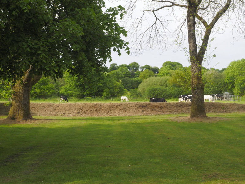 Vue depuis la véranda