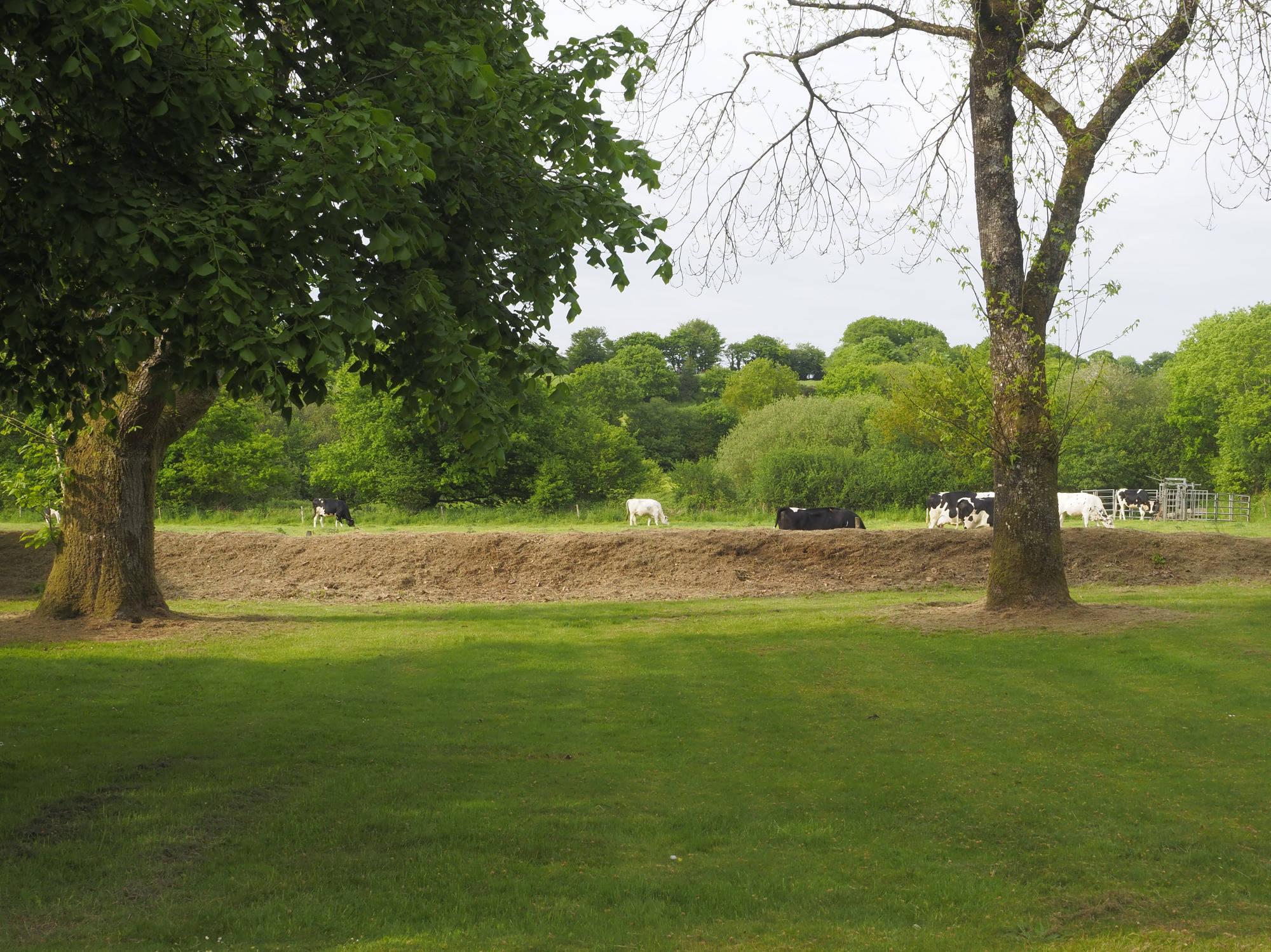 Vue depuis la véranda